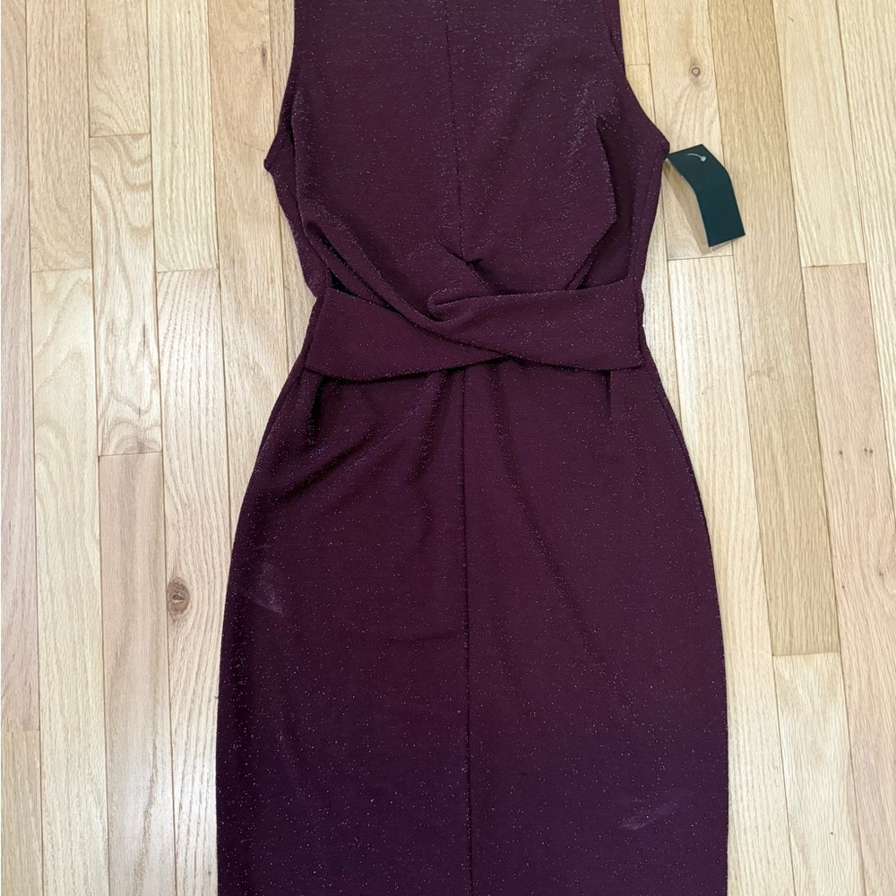 Free Press Deep Burgundy Backless Dress